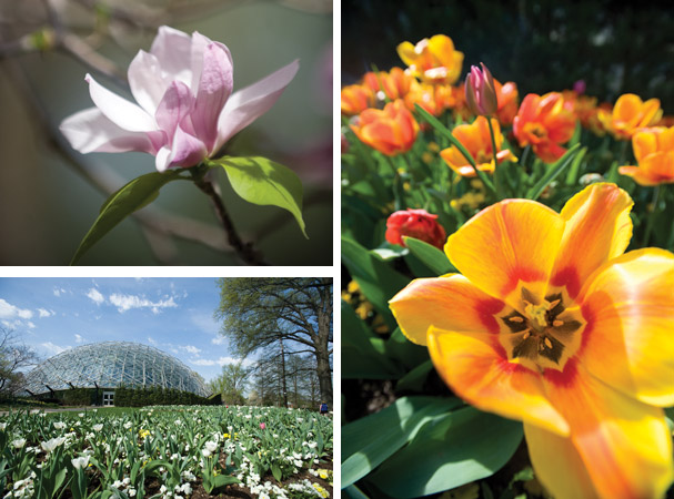 botanical-gardens