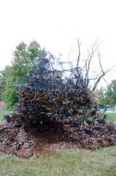 Video: a tour of Sukkah City St. Louis