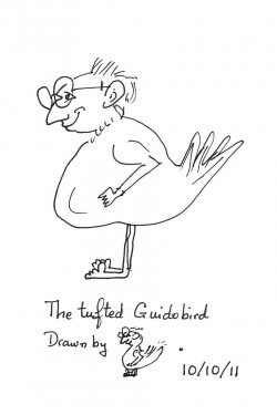 Guido Weiss draws a tufted Guidobird, which bears a striking resemblance to him.