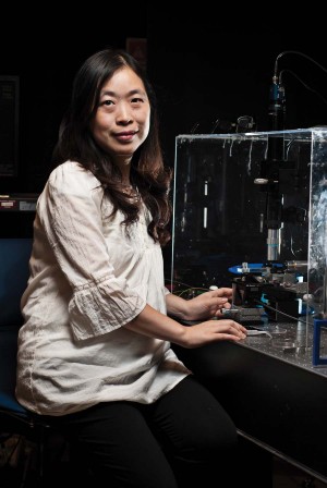 Professor Lan Yang sits in her lab in the engineering school. Dr. Yang is a recipient of the Presidential Early Career Award for Scientists and Engineers (PECASE) for her early career research. She will receive the award from President Obama next week in Washington, D.C.