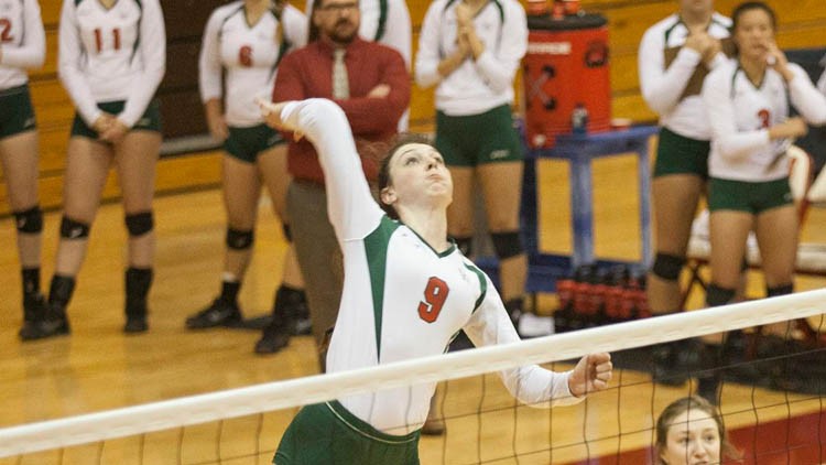 Sophomore Rexi Sheredy prepares to spike the ball against Carnegie Mellon University on Oct. 19, 2013. Last season, Sheredy led the team with 375 kills and ranked second with 327 digs. 