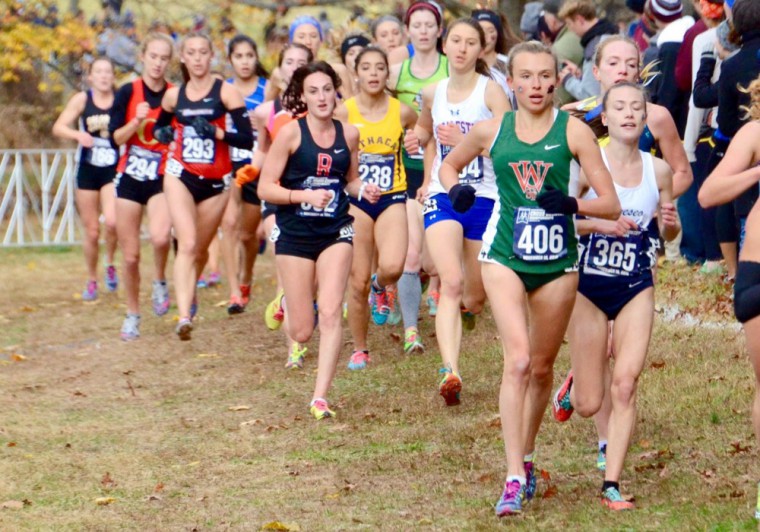 Junior Aly Wayne runs in the 2016 NCAA Division III Cross Country Championships on Nov. 19. Wayne, who didn’t make it on the cross country team freshman year, was scouted her sophomore year after head coach Jeff Stiles saw her running in Forest Park each morning.
