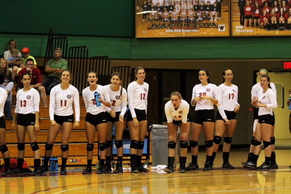 Volleyball looks to return to finals after losing in title game