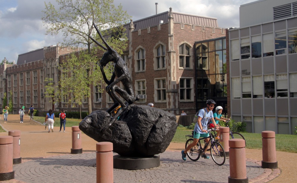 The bunny statue sits on Washington University’s campus, located near Graham Chapel and the Mallinckrodt Center.