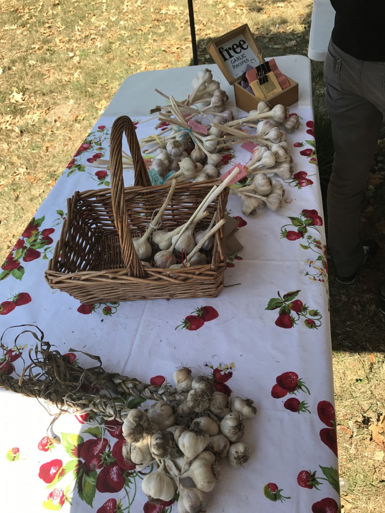 Numerous garlics were displayed on the table for people to buy, and free garlic recipes were provided.