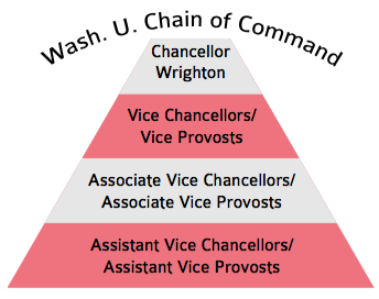 How Wash. U.’s administration is structured, explained