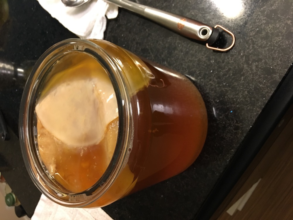 The SCOBY, a gelatinous, bacteria-filled substance, sits in a jar. It is a necessary part of the kombucha-making process.