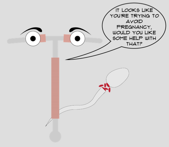 I love you, IUD
