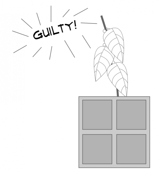Man sues plant: An improbable, utterly amusing trial