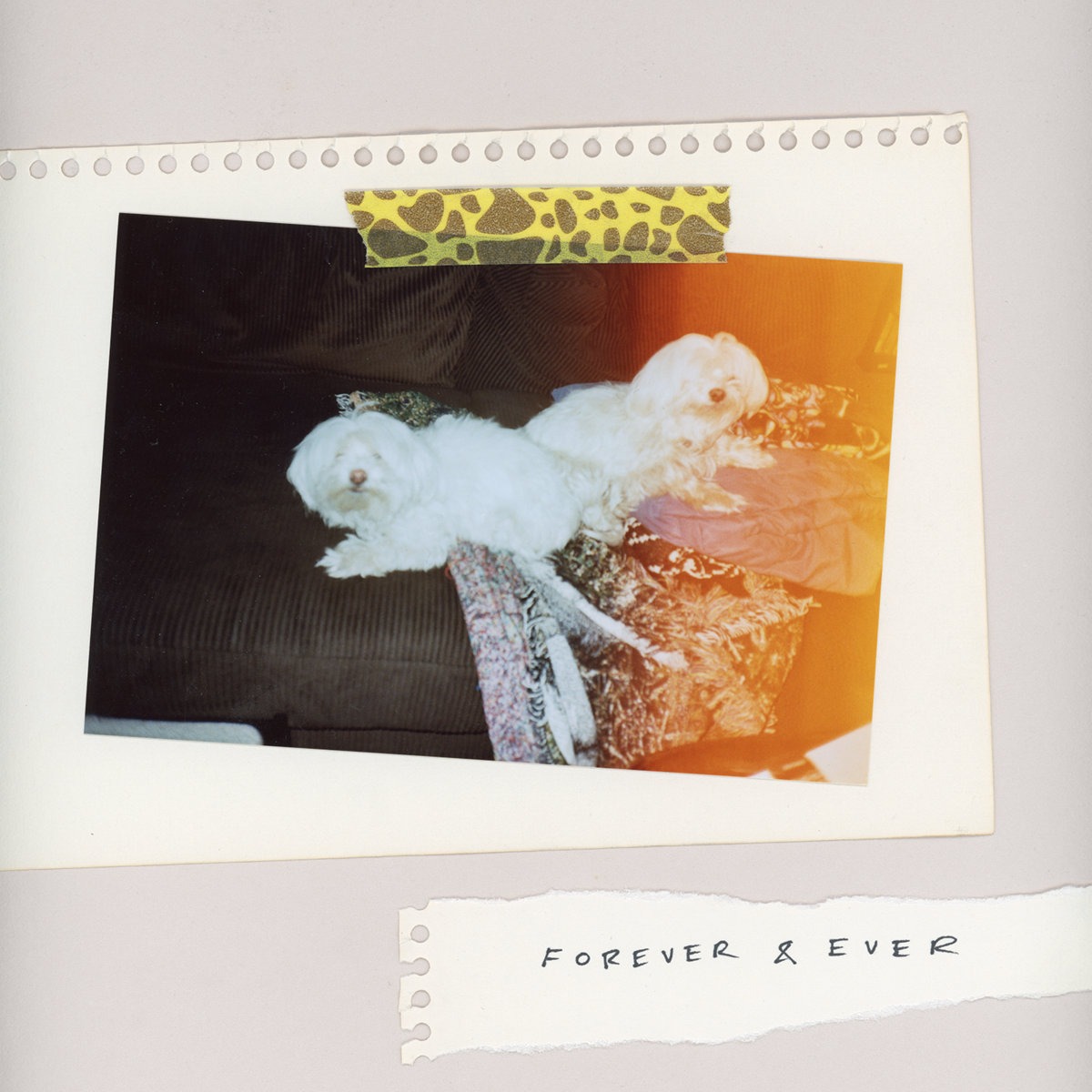 "Forever & Ever," the newest album from SALES, was released July 19, 2018. 