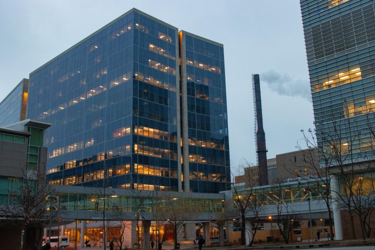 ‘Support each other’: School of Medicine students provide services for healthcare workers