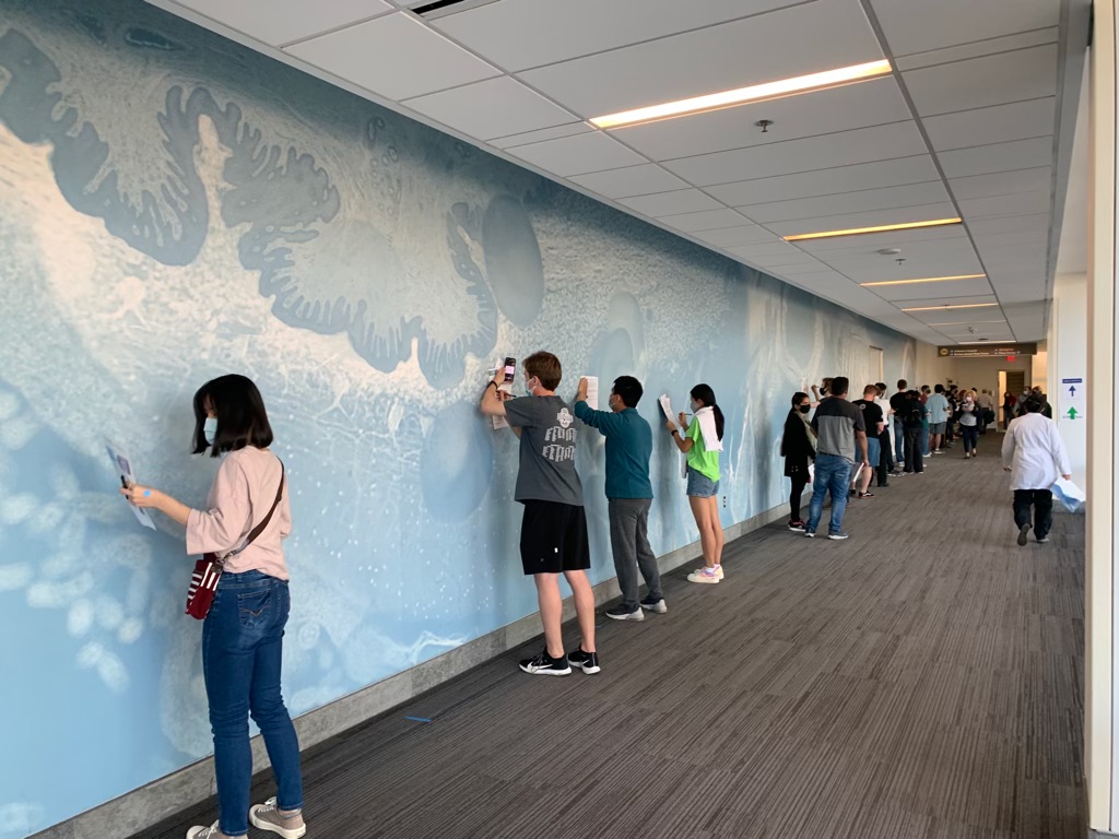Masked individuals stand in line alongside a patterned blue wall in a well lit hallway. They hold up sheets of paper against the wall to write on them.
