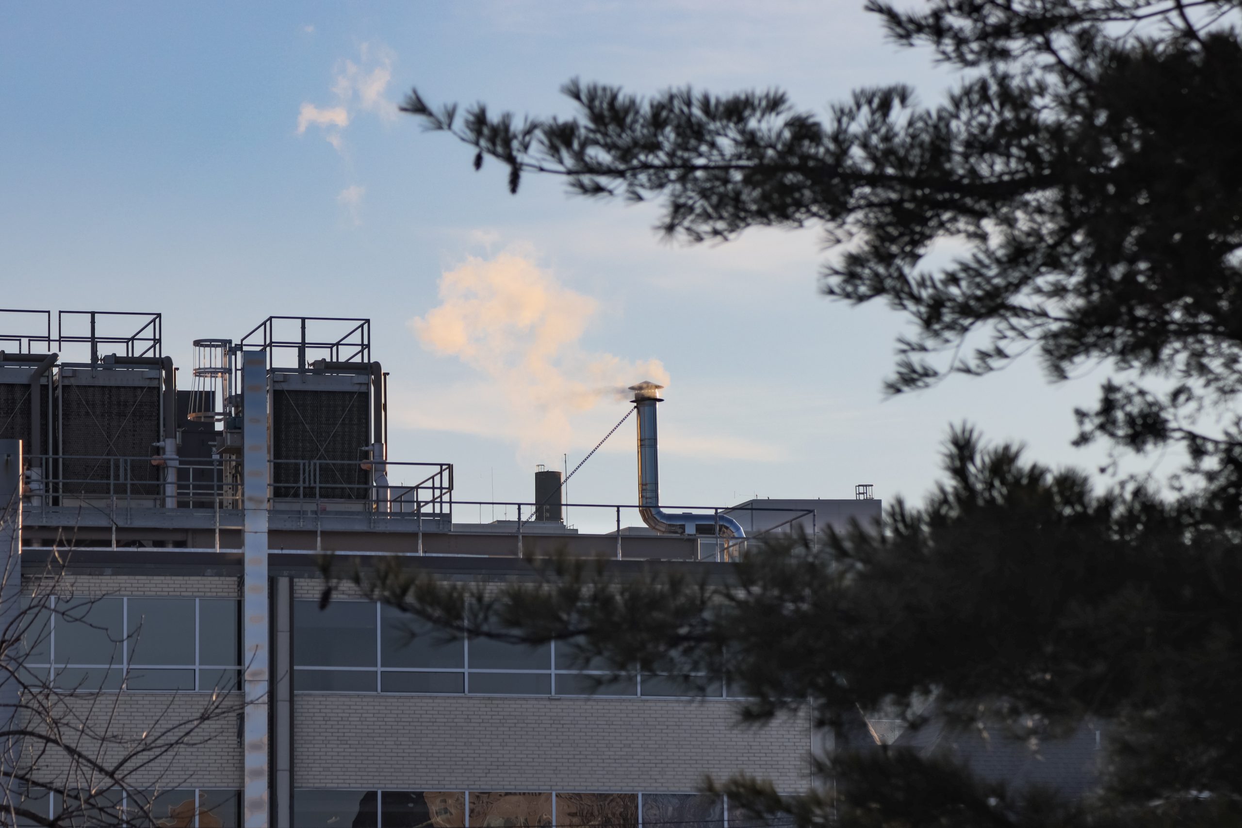 White puffs of smoke emerge from a factory-like building into a blue sky framed by a few branches.