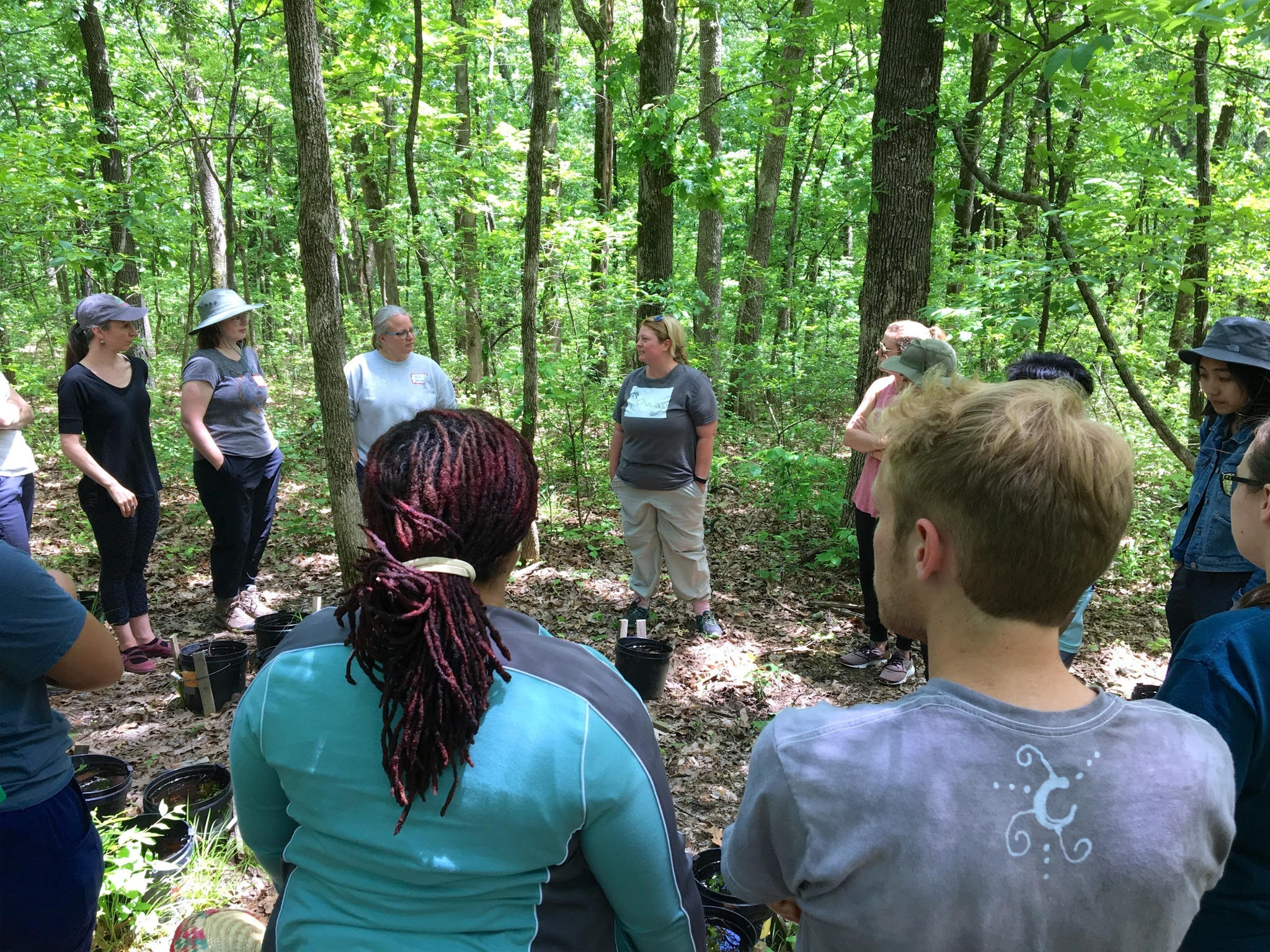 Several people stand in a circle surrounded by a forest.