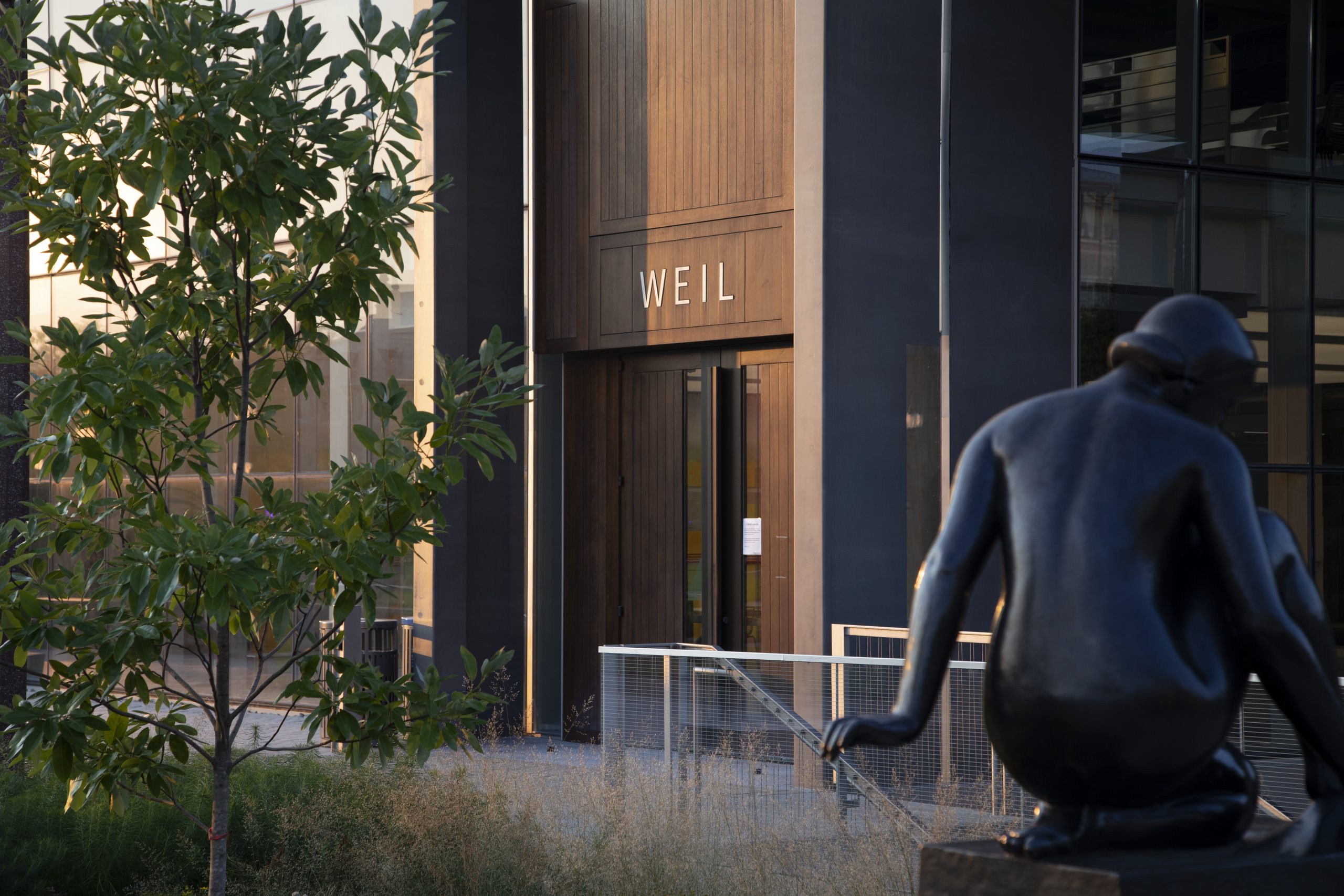 Eight Sam Fox student projects selected by the Green New Deal Superstudio