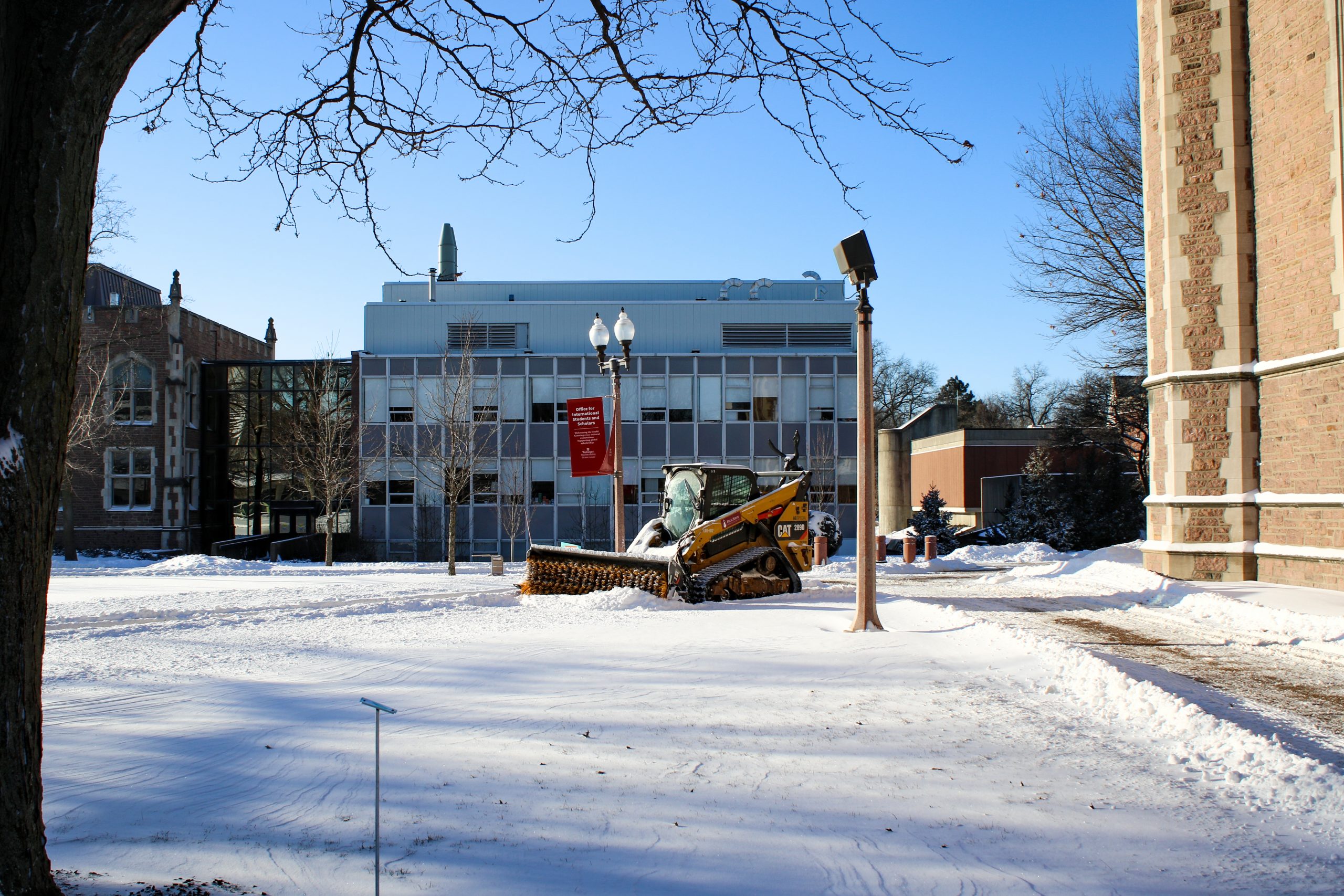 A yellow front-loader construction vehicle plows snow from a path in front of a glass-windowed building. The sky is blue behind it and the bare branches of a tree overhang the photo with a lamppost to the right of the yellow vehicle.