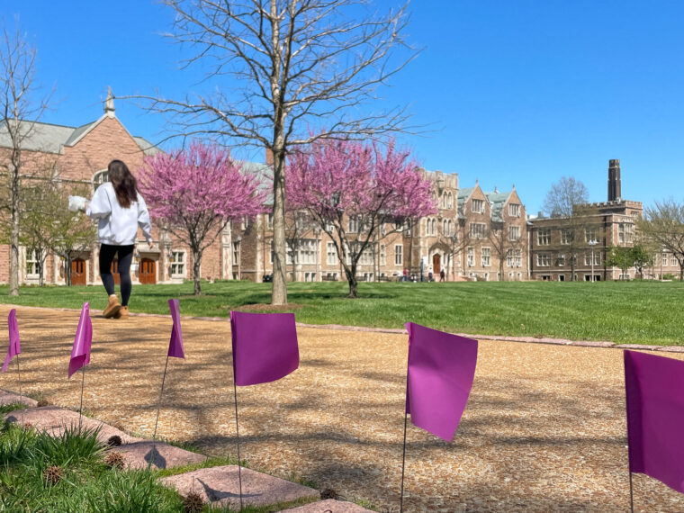 Purple flags are lined up next to a path by Mudd Field. A student walks on the path in the left of the image.