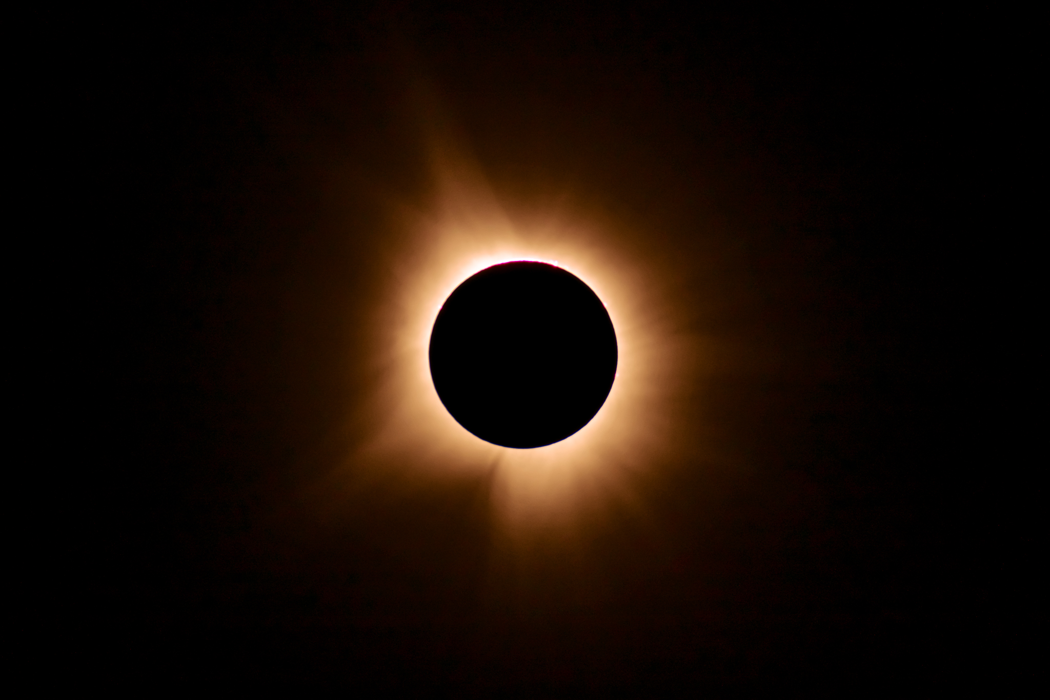 “It was surreal” — WashU students, staff, and faculty view eclipse