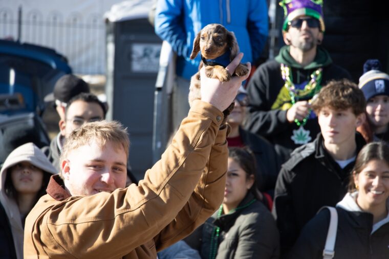 A joyous moment shared on a vibrant day