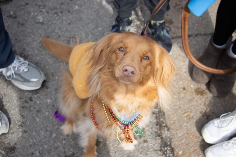 Patrons enjoy the vibrant atmosphere together