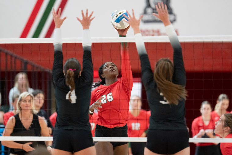 No. 16 WashU volleyball dominates in three of four games on opening weekend