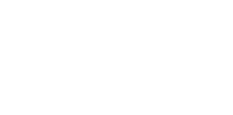 WU in Focus 2020