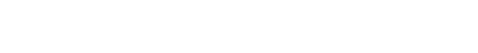WU in Focus 2020